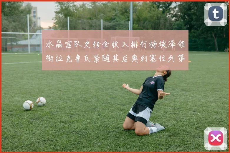 水晶宫队史转会收入排行榜埃泽领衔拉克鲁瓦紧随其后奥利塞位列第四